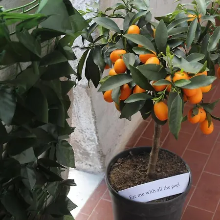 Casetta Di Angie Lägenhet *